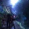 Sea Life Bangkok Ocean World