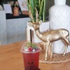 wild berry soda เบอรี่ป่า เปรี้ยวๆหวานๆ สดชื่นสุดๆมีเบอรี่topping ด้านบนให้ด้วยก
