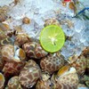 MENU_385263Sj_1553061818