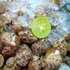 MENU_385263Sj_1553245248