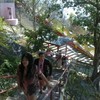 ทางเดินที่ประทับใจเพราะวนจนเวียนหัว