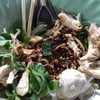ตั่วเฮีย ก๋วยเตี๋ยวรสแซ่บ