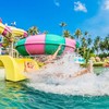 ภาพ : Samui Water Park Pink Elephant
