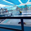 Oasis Sea World