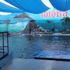 Oasis Sea World