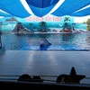 Oasis Sea World