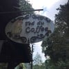 Teddu Coffee
