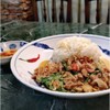 ข้าวราดผัดกะเพราเนื้อตุ๋น (DV) ข้าวราดผัดกะเพราเนื้อตุ๋น (DV)
