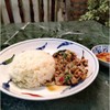 ข้าวราดผัดกะเพราหมูสามอย่าง (DV) ข้าวราดผัดกะเพราหมูสามอย่าง (DV)