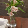 Cafe' de Nimman