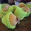 สินค้า: melon