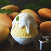 Mango sticky rice kakigori. Mango sticky rice kakigori.