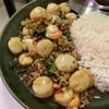 โคตรหอยเชลล์กะเพรา กับข้าว (no rice) โคตรหอยเชลล์กะเพรา กับข้าว (no rice)