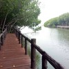 อุทยานแห่งชาติหมู่เกาะชุมพร