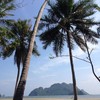 หาดทรายรี