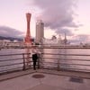 วิว Kobe Port Tower