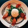BURRATA (V) BURRATA (V)