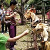 ภาพ ; FB สวนเคพี การ์เด้น 
