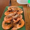 กุ้งเผาครึ่งกิโล 300 บาท