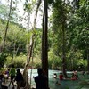 ป่าต้นน้ำบ้านน้ำราด