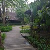 ตรงทางเดินไปยัง Cottage