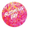 Blooming Day Blooming Day