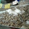 กุ้งสดๆ ราคาไม่แพง