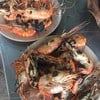 กุ้งสด ตัวใหญ่ อร่อยมาก