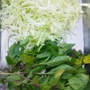 กินพร้อมกับใบโหระพา ดูแปลกแต่อร่อย