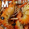 กุ้งเผา M (13-15ตัว/โล) กุ้งเผา M (13-15ตัว/โล)