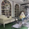 Caturday cat cafe