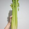 CELERY JUICE CELERY JUICE