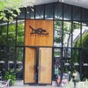 Dose Factory บ้านจิก