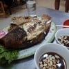 ปลาตัวโตเนื้อแน่น