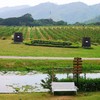 PB Valley Khao Yai Winery