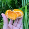 เวฟ