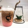 COK Cream Of The Koff