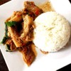 ข้าวกะเพราเนื้อเปื่อย ข้าวกะเพราเนื้อเปื่อย