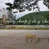 The Scenery Vintage Farm