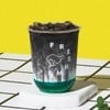 Mint Night Cocoa - มิ้นท์ ไนท์ โกโก้ Mint Night Cocoa - มิ้นท์ ไนท์ โกโก้