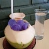 Lucky Restaurant