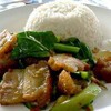 คะน้าหมูกรอบราดข้าว คะน้าหมูกรอบราดข้าว