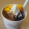 Pinkberry เซ็นทรัลชิดลม