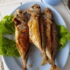 150 บาท ปลาลังชัด ๆ