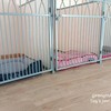 ห้องพักสำหรับน้องหมา