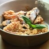 Risotto sea food Risotto sea food