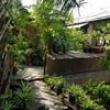 เหมือนนั่งในสวนที่บ้านสวนเลยค่ะ