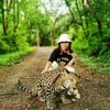 🐔🐔🐆🐆🐆 