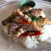 กะเพรากั้ง ราดข้าว กะเพรากั้ง ราดข้าว