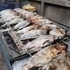 ปลานิล 170-180 ปลาทับทิม 200